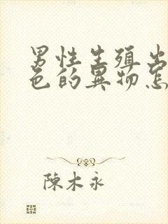 男性生殖出现白色的异物怎么治