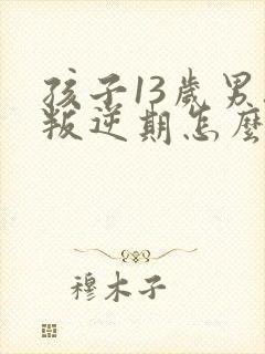 孩子13岁男孩叛逆期怎么办