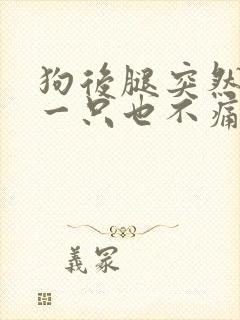 狗后腿突然瘸了一只也不痛