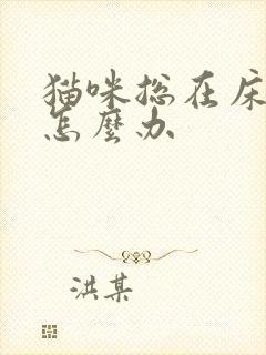 猫咪总在床上尿怎么办