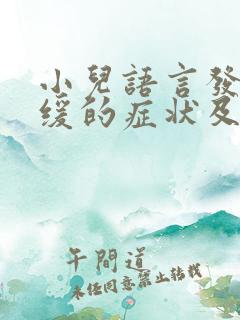 小儿语言发育迟缓的症状及治疗