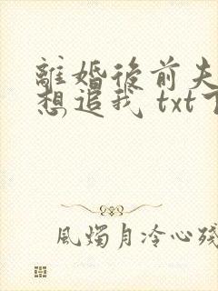 离婚后前夫总是想追我 txt下载