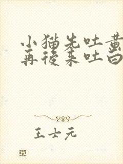 小猫先吐黄水,再后来吐白沫