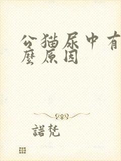 公猫尿中有血什么原因