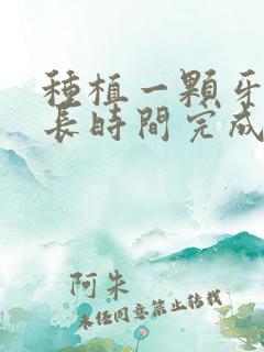 种植一颗牙要多长时间完成