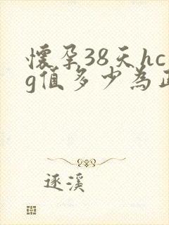 怀孕38天hcg值多少为正常值