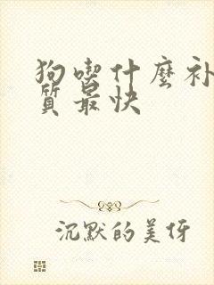 狗吃什么补蛋白质最快