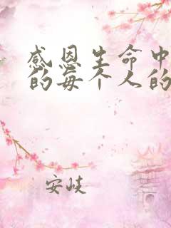 感恩生命中遇见的每个人的句子