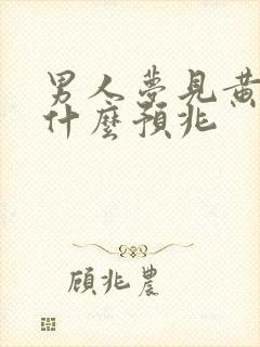 男人梦见黄狗是什么预兆