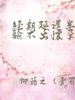 经期延迟半个月验不出怀孕