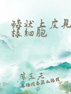 鳞状上皮见挖空样细胞