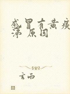 感冒有黄痰黄鼻涕 原因