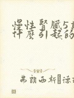 慢性肾脏5期是什么引起的