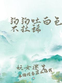 狗狗吐白色粘液不拉稀