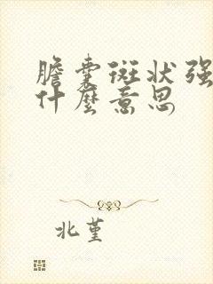 胆囊斑状强回声什么意思