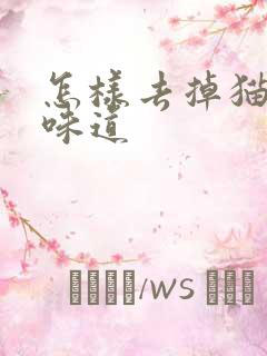 怎样去掉猫尿的味道