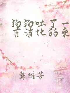 狗狗吐了一堆没有消化的东西怎么办