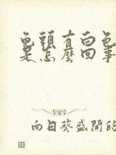 龟头有白色污垢是怎么回事