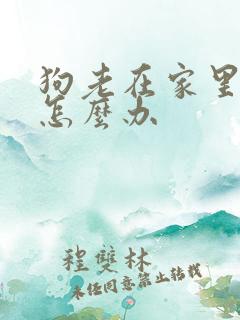 狗老在家里乱尿怎么办