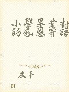 小学毕业对老师的感恩寄语