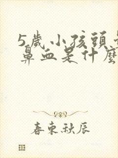 5岁小孩头晕流鼻血是什么原因