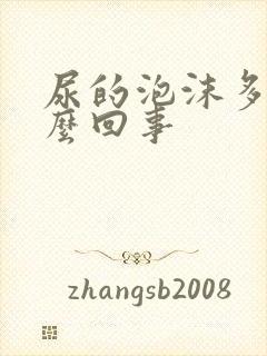 尿的泡沫多是怎么回事