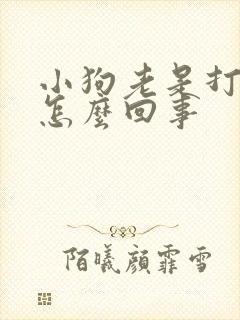 小狗老是打哆嗦怎么回事