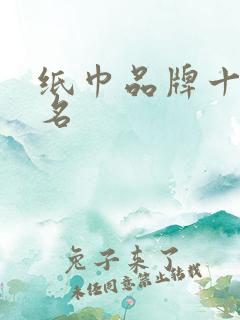 纸巾品牌十大排名