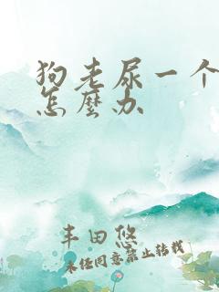 狗老尿一个地方怎么办