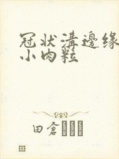 冠状沟边缘一排小肉粒