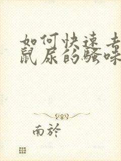 如何快速去除老鼠尿的骚味