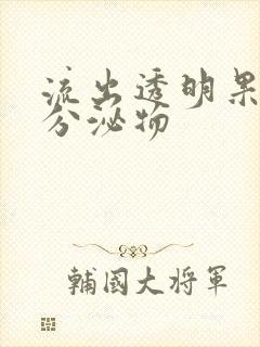 流出透明果冻状分泌物