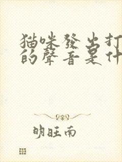 猫咪发出打呼噜的声音是什么意思