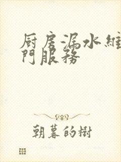 厨房漏水维修上门服务