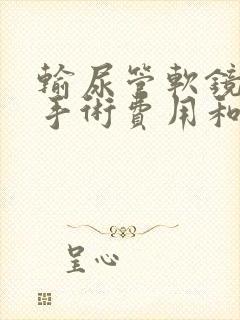 输尿管软镜取石手术费用和结石大小有关系吗