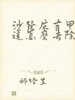 沙发床有甲醛味道怎么去除