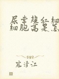 尿常规红细胞白细胞高是怎么回事