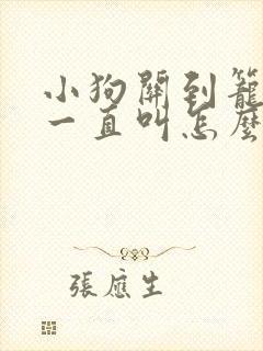 小狗关到笼子里一直叫怎么办