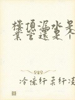 楼顶漏水是归物业管还是个人承担