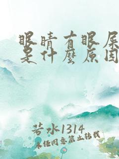 眼睛有眼屎模糊是什么原因引起的