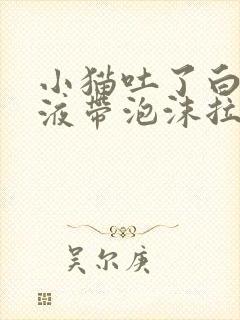 小猫吐了白色粘液带泡沫拉稀