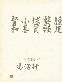 肾小球系膜细胞和基质轻度节段增生