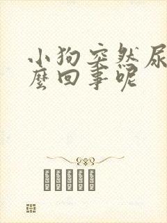 小狗突然尿血怎么回事呢