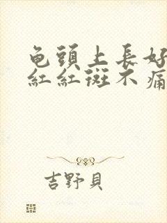 龟头上长好多小红红斑不痛不痒