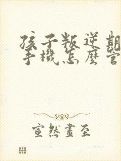 孩子叛逆期沉迷手机怎么管教最合适男孩