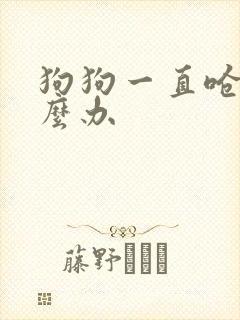 狗狗一直呛咳怎么办