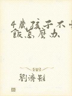 4岁孩子不爱吃饭怎么办