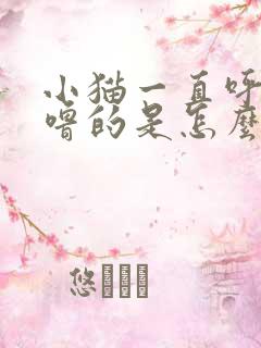 小猫一直呼噜呼噜的是怎么回事