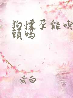 狗怀孕能吃鸭骨头吗