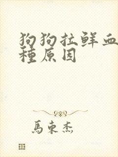 狗狗拉鲜血有几种原因